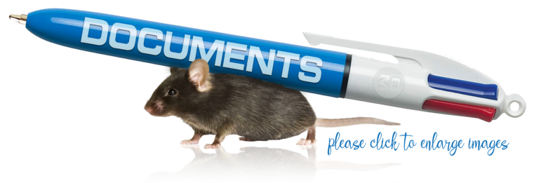 Document Designs