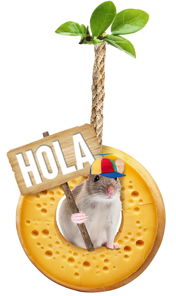 one-mouse graphic design cheese mouse