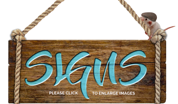 Sign Design